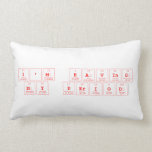 I'm having
 my period  Pillows (Lumbar)