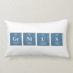 Genius  Pillows (Lumbar)