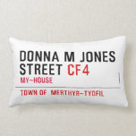 Donna M Jones STREET  Pillows (Lumbar)