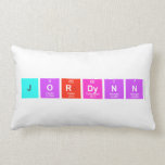 Jordynn  Pillows (Lumbar)