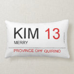 KIM  Pillows (Lumbar)