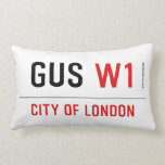Gus  Pillows (Lumbar)