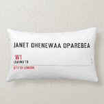 JANET OHENEWAA OPAREBEA     Pillows (Lumbar)