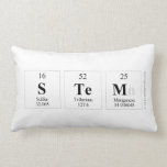 stem  Pillows (Lumbar)