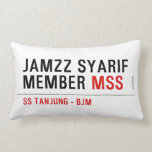 Jamzz Syarif Member  Pillows (Lumbar)