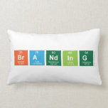 Branding  Pillows (Lumbar)