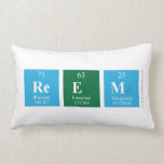 REEM  Pillows (Lumbar)