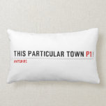 This Particular Town  Pillows (Lumbar)