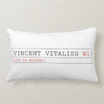 vincent vitaliss  Pillows (Lumbar)