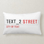 TEXT_2  Pillows (Lumbar)