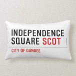 Independence Square  Pillows (Lumbar)