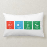 NEDUNO  Pillows (Lumbar)