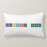 Kenzie Grace  Pillows (Lumbar)