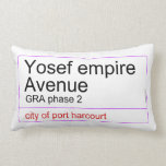 Yosef empire  Avenue   Pillows (Lumbar)