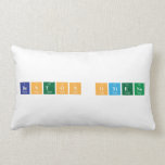 Benton Otieno  Pillows (Lumbar)