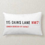 115 DAWS LANE  Pillows (Lumbar)