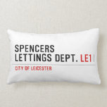 Spencers Lettings Dept.  Pillows (Lumbar)