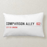 Comparison alley   Pillows (Lumbar)