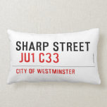 SHARP STREET   Pillows (Lumbar)