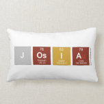 Josia   Pillows (Lumbar)