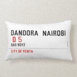 DANDORA  NAIROBI   Pillows (Lumbar)