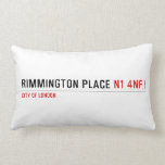Rimmington Place  Pillows (Lumbar)