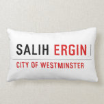 Salih  Pillows (Lumbar)