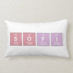 Sofi  Pillows (Lumbar)