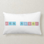 N|erdy princ|ess  Pillows (Lumbar)