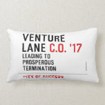 Venture  Lane  Pillows (Lumbar)