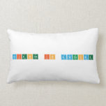 Science is awesome  Pillows (Lumbar)