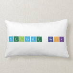 Welcome Back  Pillows (Lumbar)