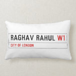 Raghav Rahul  Pillows (Lumbar)