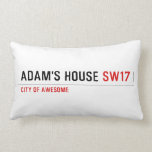 Adam's House  Pillows (Lumbar)
