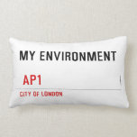 My environment    Pillows (Lumbar)
