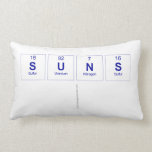 SUNS
   Pillows (Lumbar)