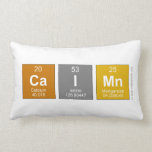 Caimn  Pillows (Lumbar)