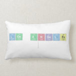 Los Angeles
   Pillows (Lumbar)
