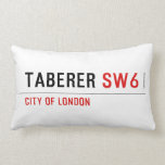 Taberer  Pillows (Lumbar)