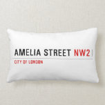 Amelia street  Pillows (Lumbar)