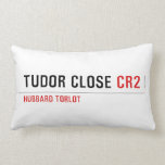 TUDOR CLOSE  Pillows (Lumbar)