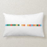 department of chemistry  Pillows (Lumbar)