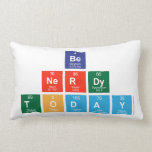 be 
 nerdy
 Today  Pillows (Lumbar)