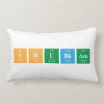 Shubham  Pillows (Lumbar)