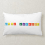 yassine elidrissi  Pillows (Lumbar)