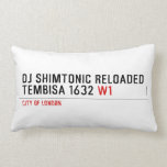 Dj shimtonic reloaded Tembisa 1632  Pillows (Lumbar)