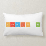 Chemic al  Pillows (Lumbar)