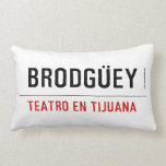 BRODGÜEY  Pillows (Lumbar)