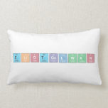 EliotGelwan  Pillows (Lumbar)