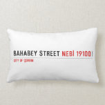 BAHABEY STREET  Pillows (Lumbar)
